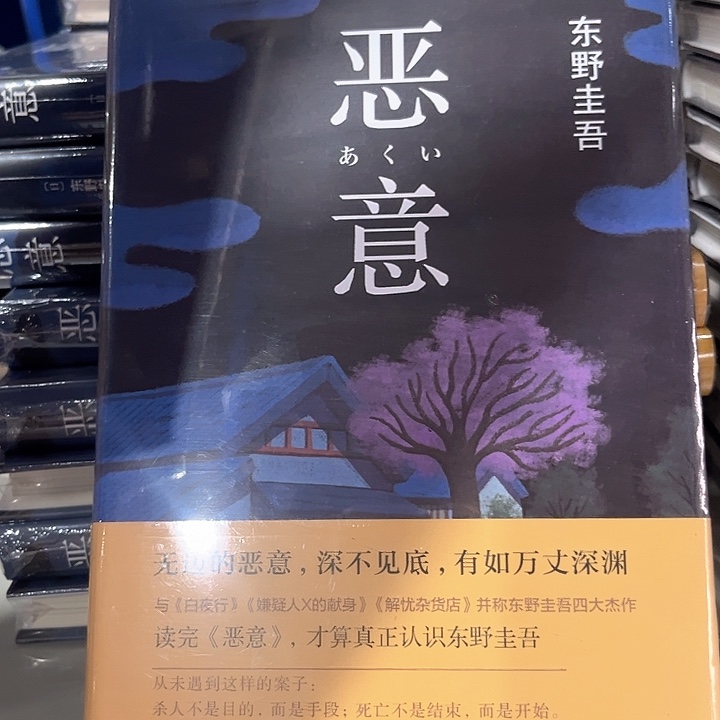 恶意新书推荐精装