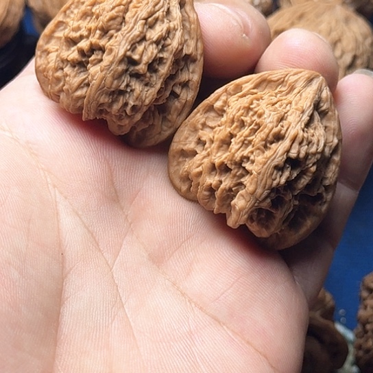 37全品无修三角密纹