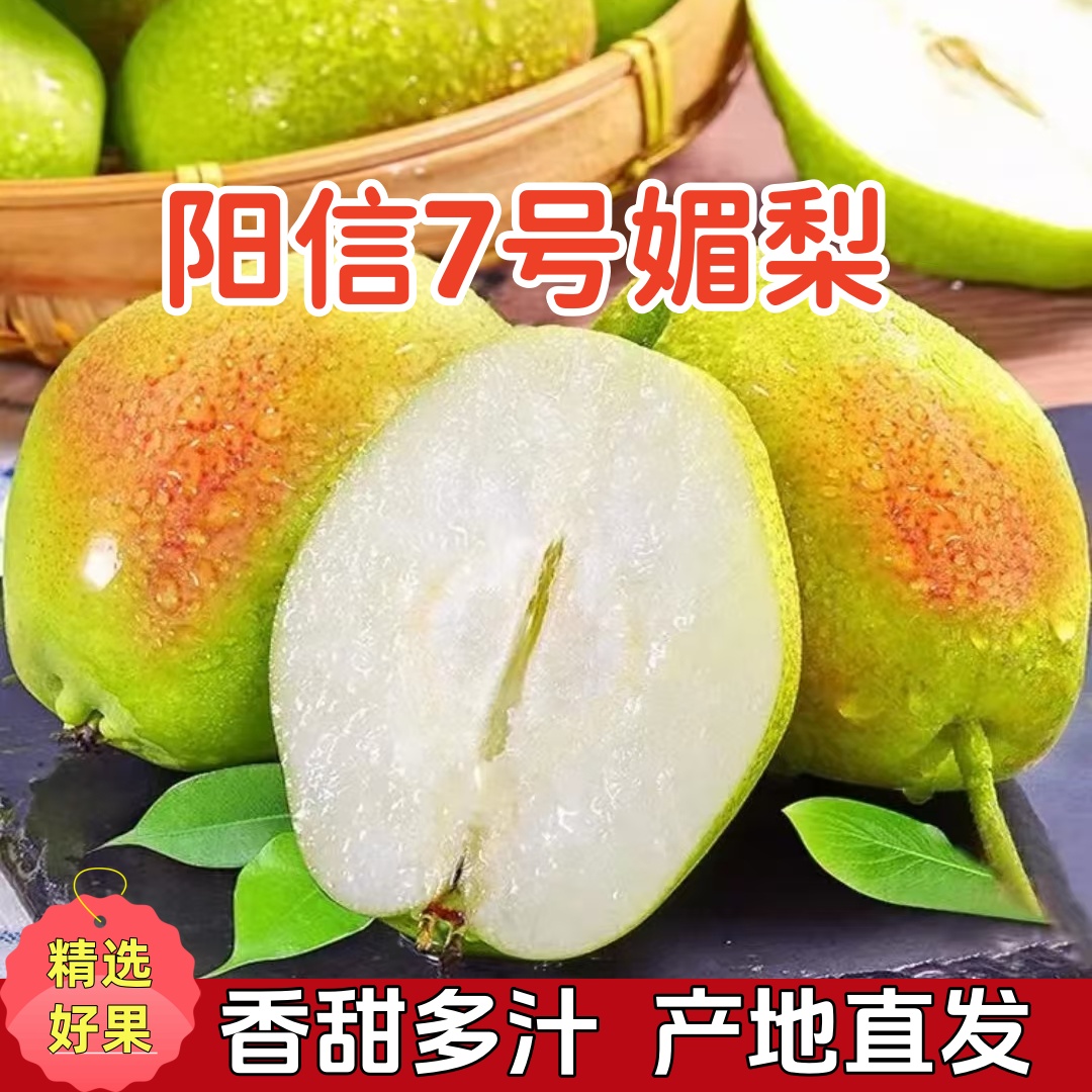 【阳信7号媚梨】正宗阳信媚梨7号香梨新鲜当季香甜多汁