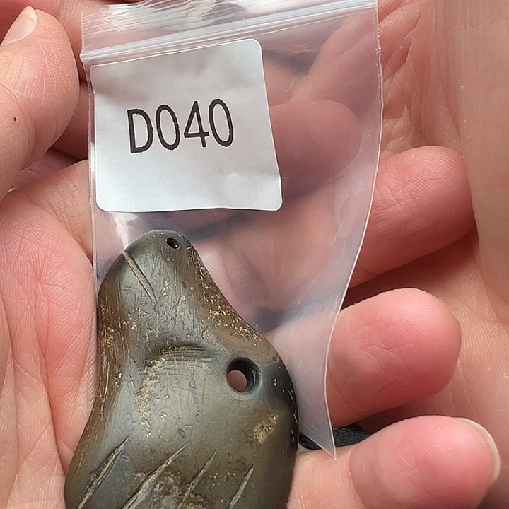 手串菩提根/象牙果