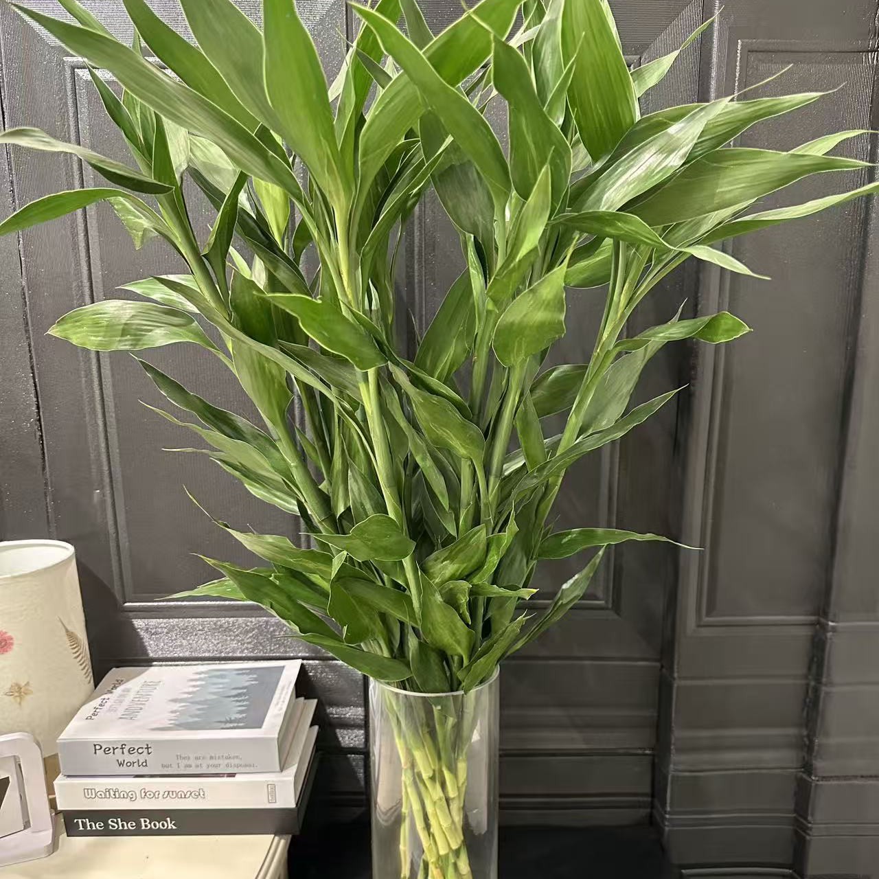 东方家的招财竹