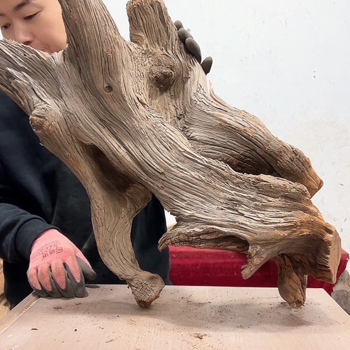 柏木大*我们的生活是以自己为