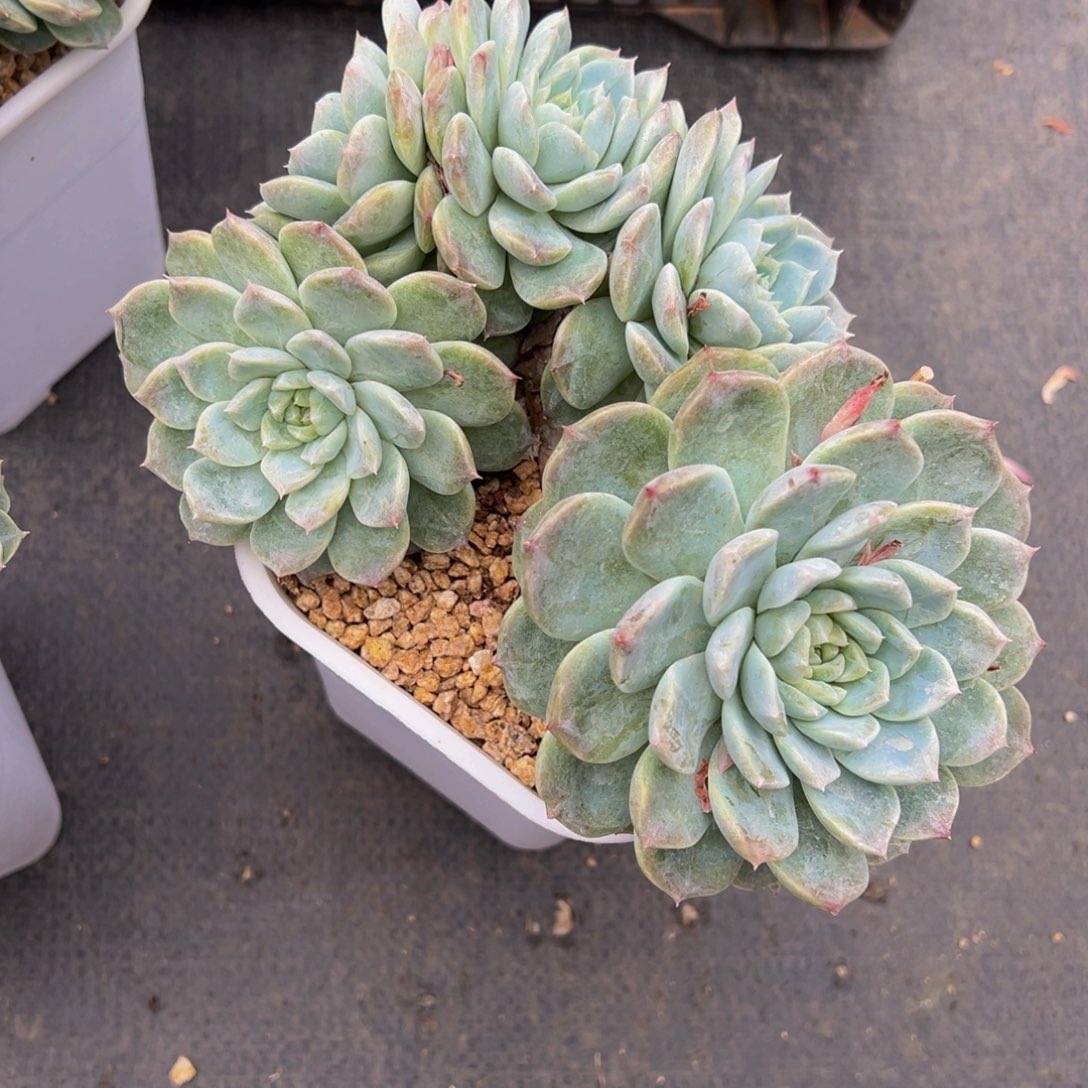 寻****店天天开心 天天开心