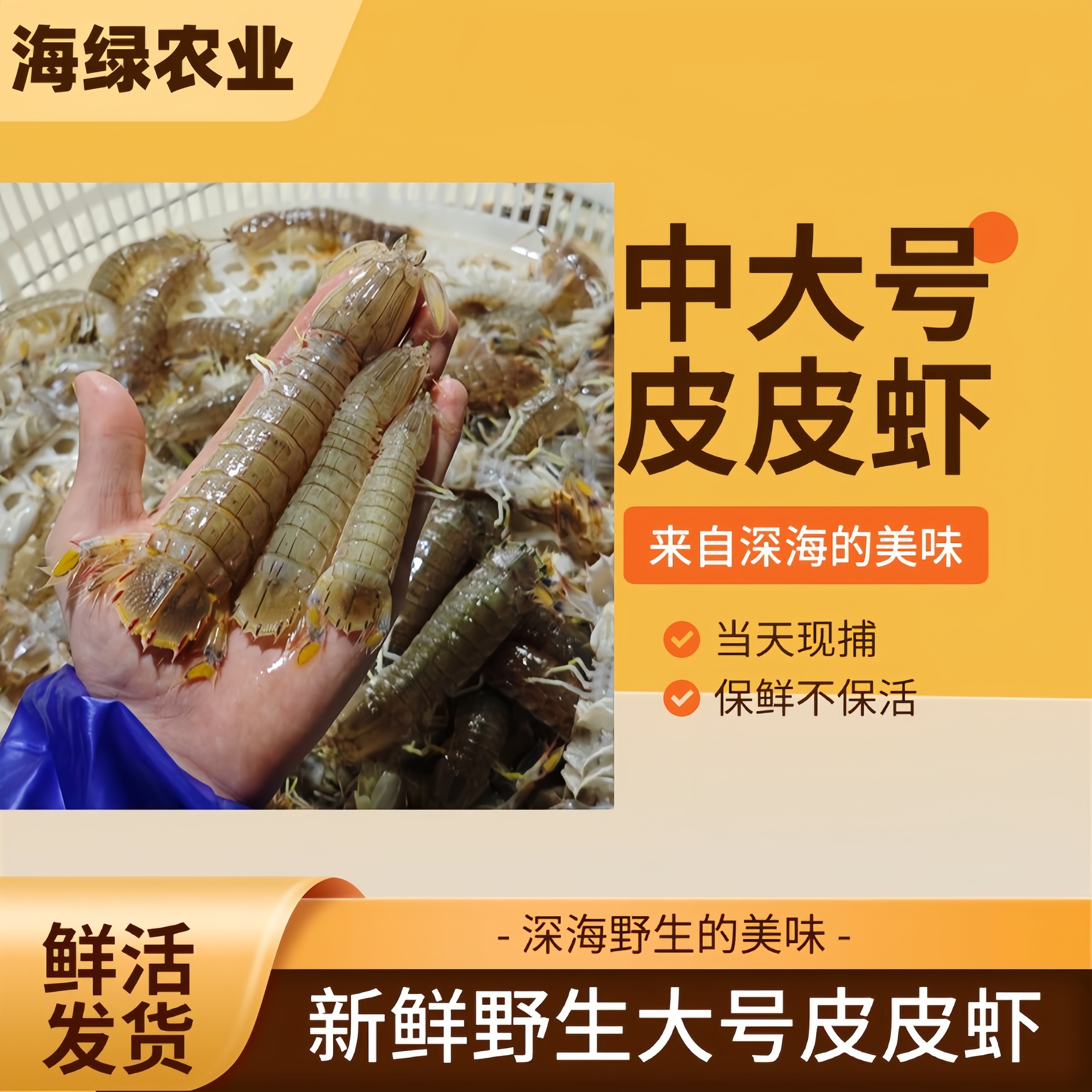 【保鲜不保活】鲜活中大号皮皮虾保鲜鲜活发货天然虾爬3斤京东包邮