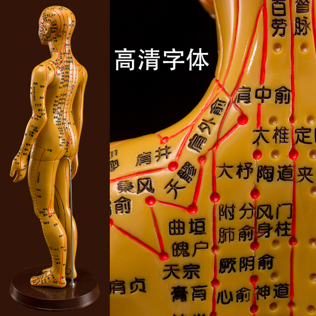 中医练习经络针灸穴位模型人可扎针人体图身经脉十二铜人小皮人