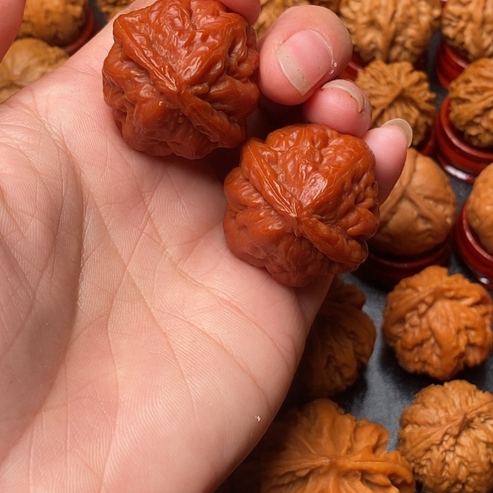 文玩核桃吊坠蚁王