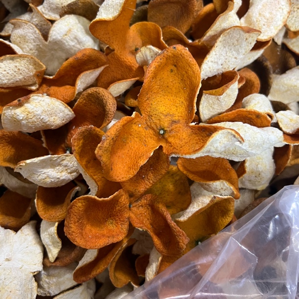 （助农专属）广西茶枝柑大红新皮 新树精品