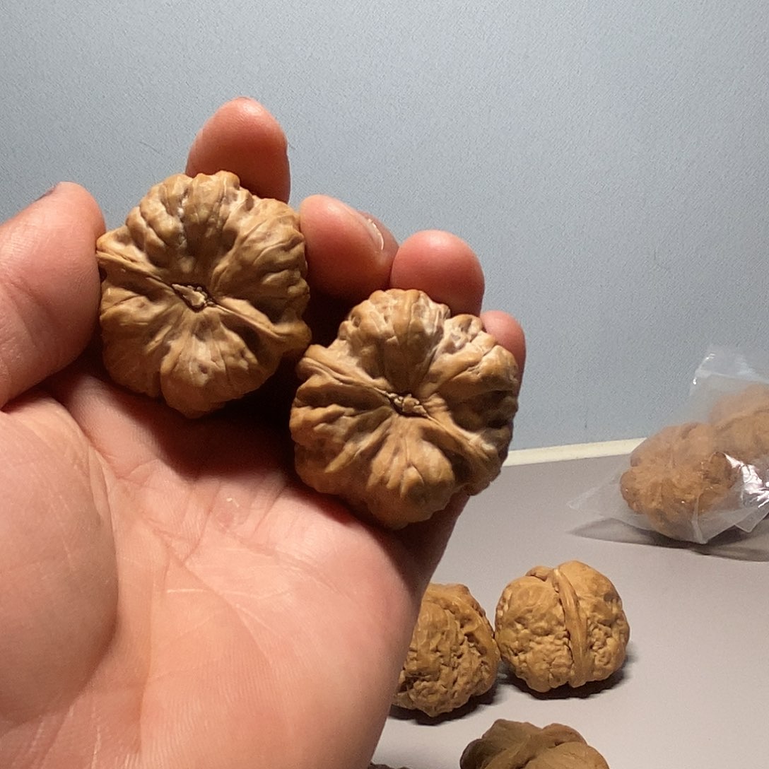蛤蟆头把件未打底007