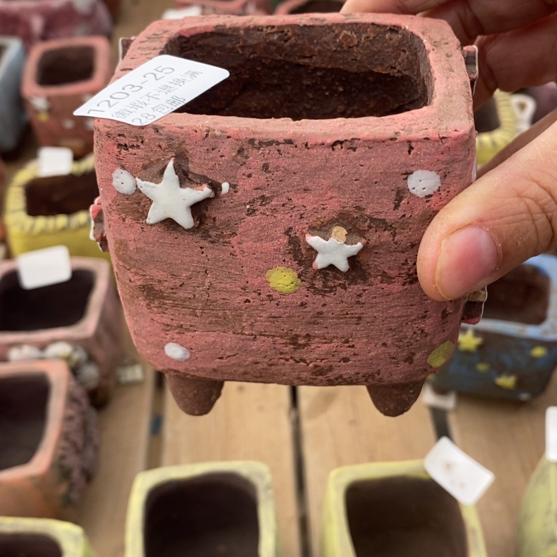 ～***木25号多肉盆口径6韩版补色