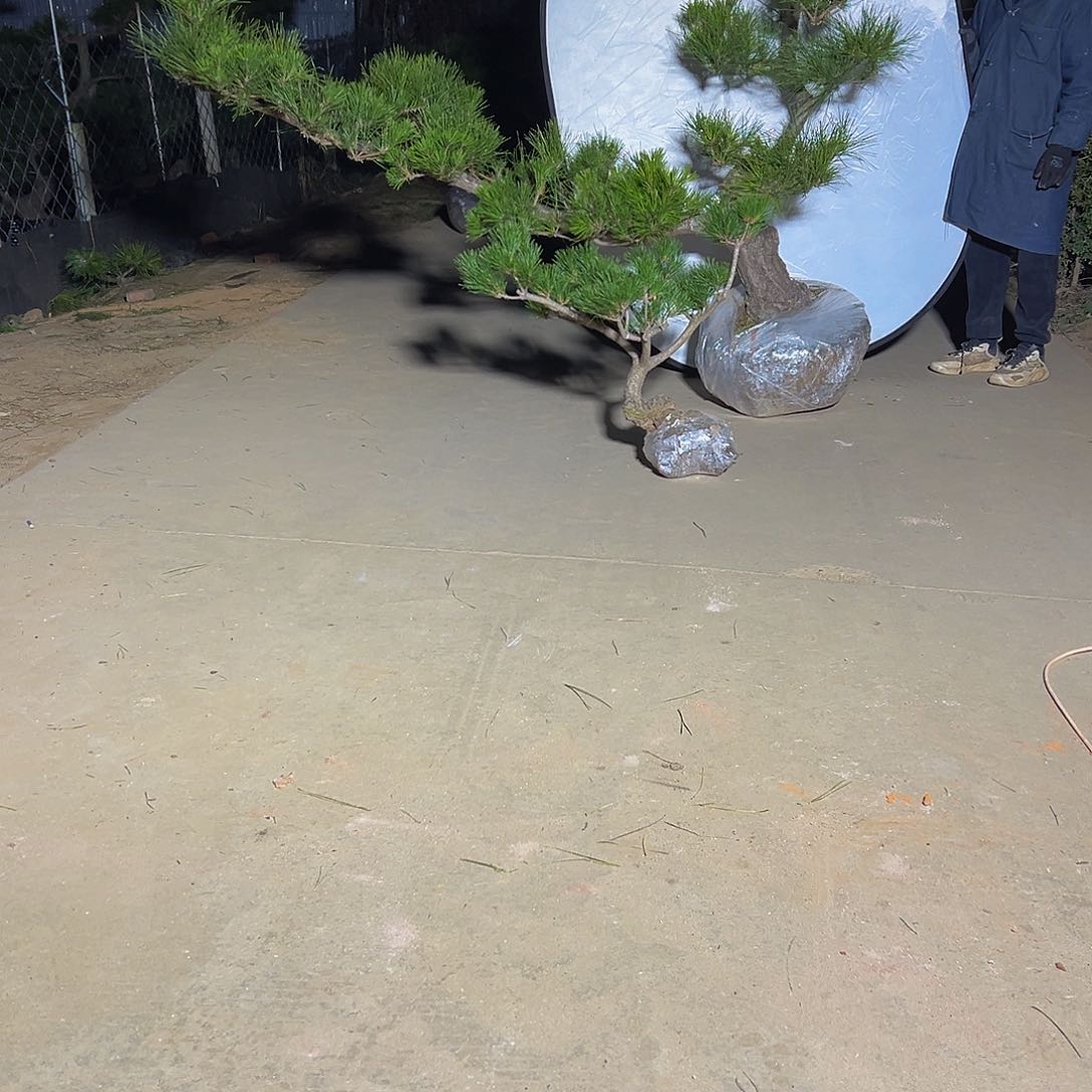 无花朵生***.88888888888