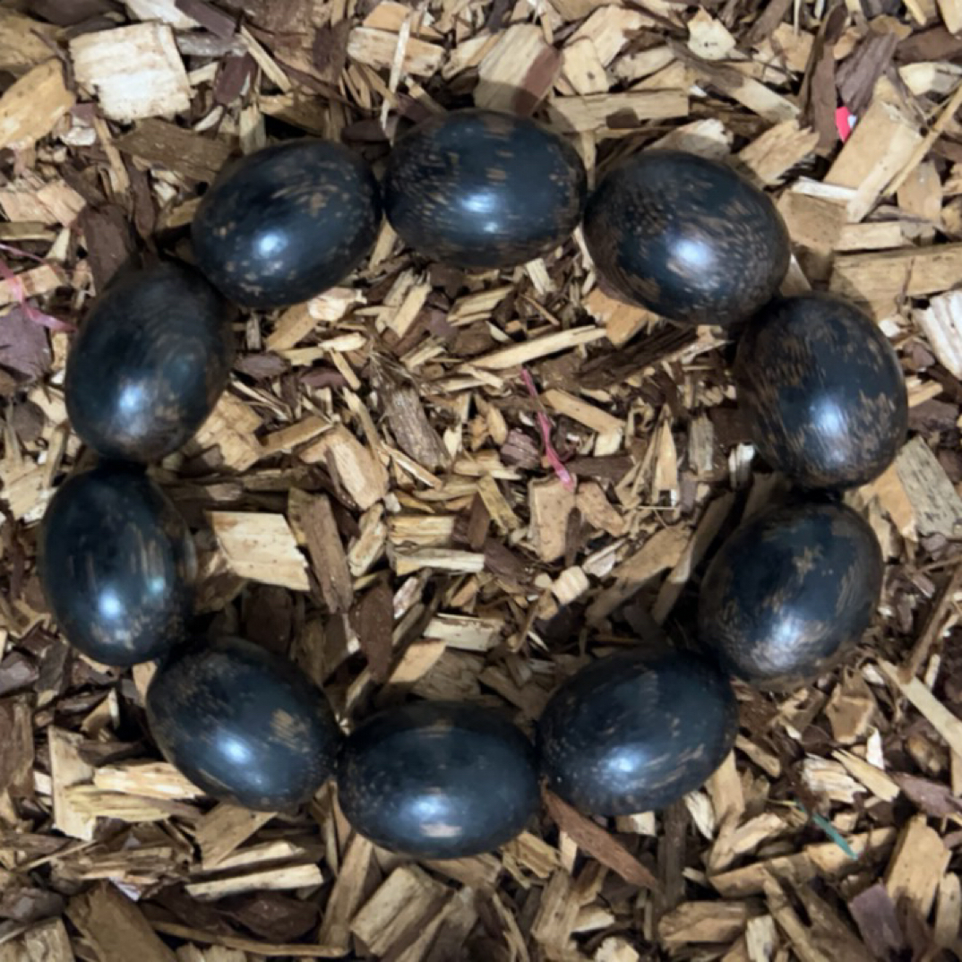 28福来精选文玩沉香木作手串20mm