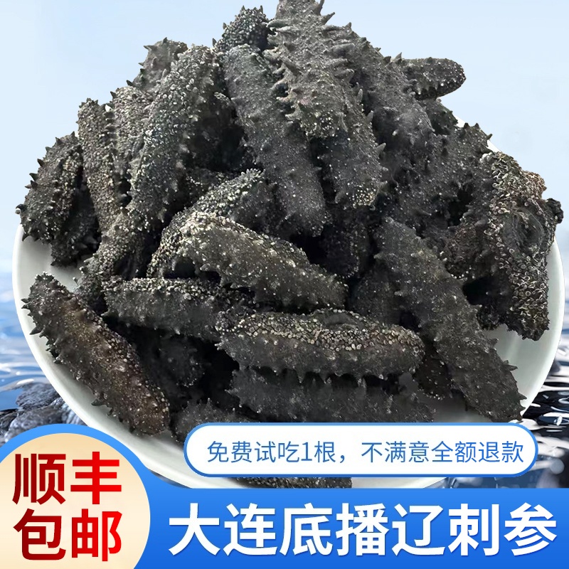 【头茬秋参】瓦房店40-60头/斤泡发高工厂直销纯淡干海参辽参批发