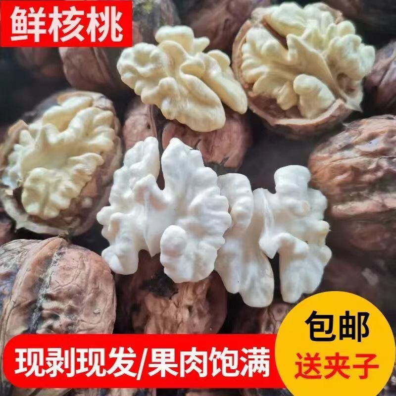2025年大凉山老树新鲜核桃湿核桃去青皮鲜核桃儿童孕妇水果
