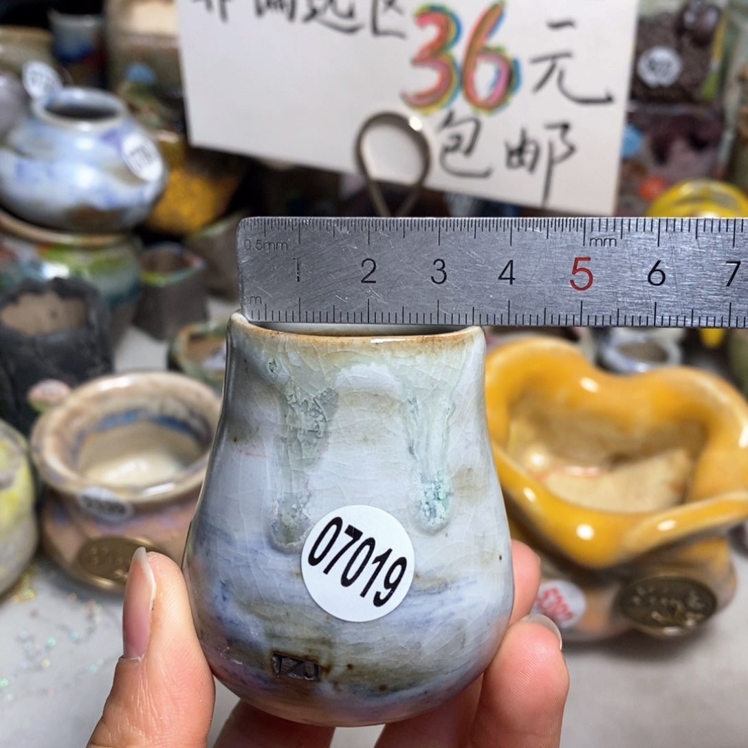 拍5送一个小礼物花盆