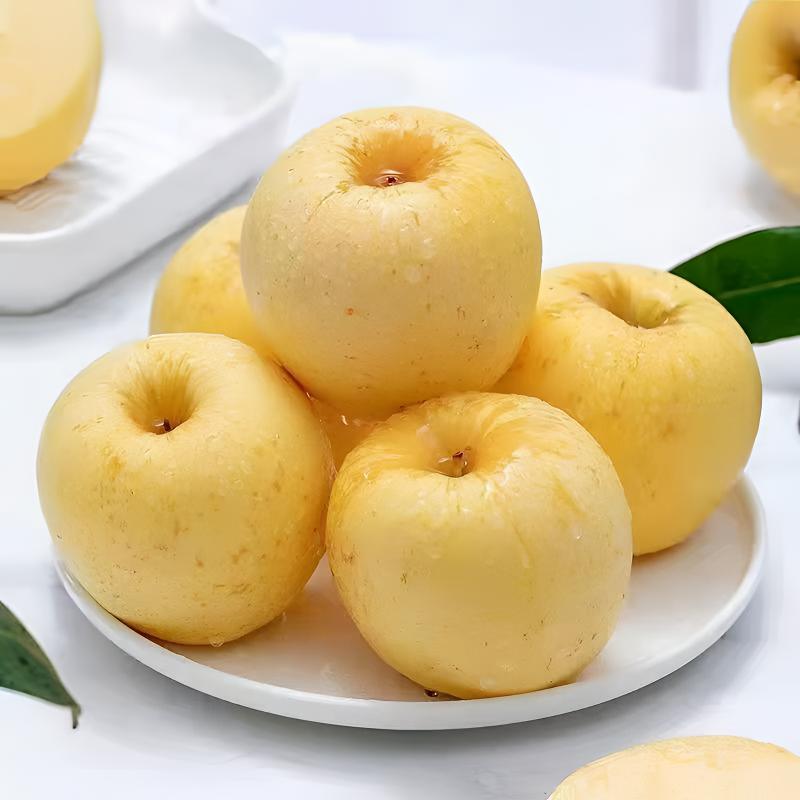{爆甜脆}黄金维纳斯苹果-1斤(约500g)山东省