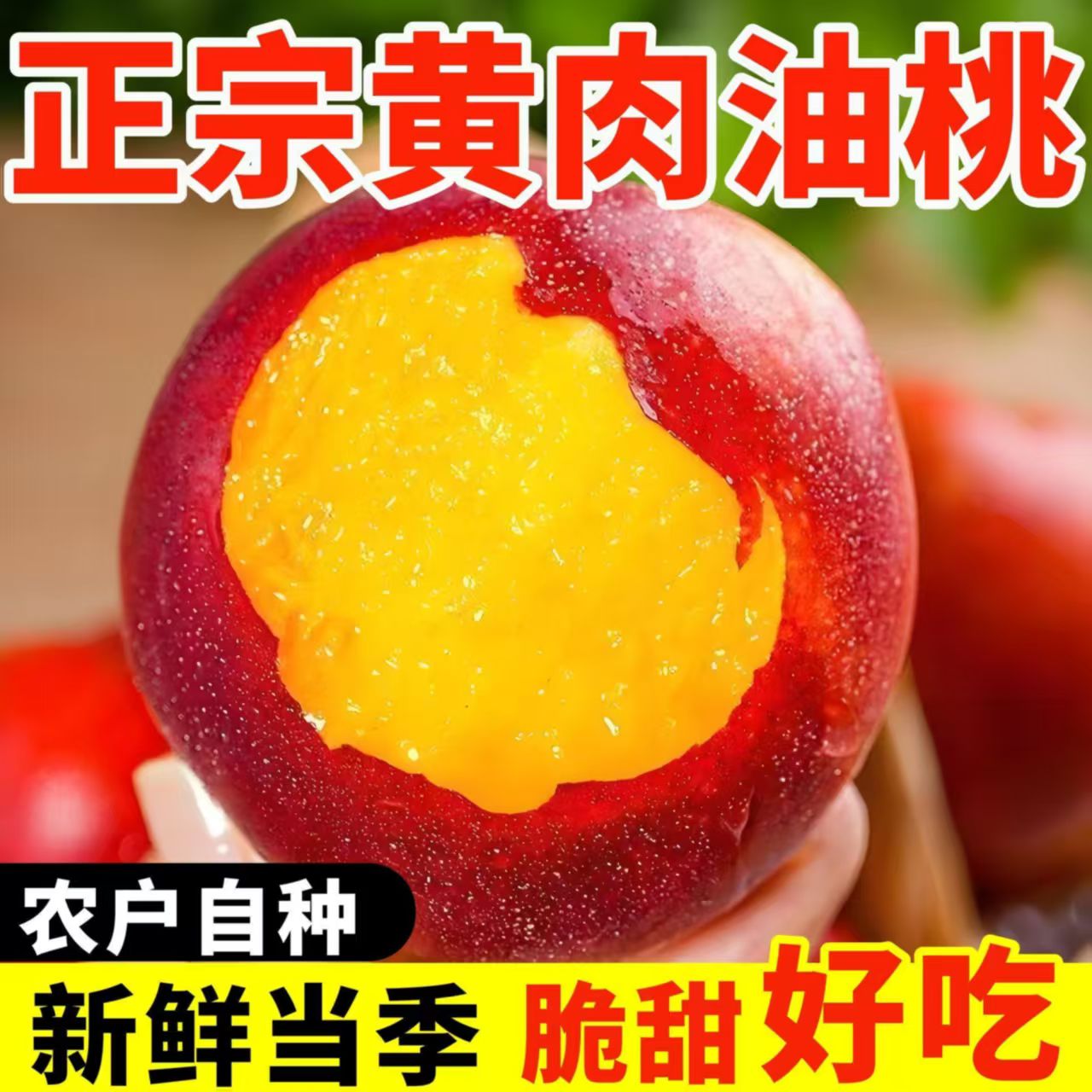正宗麻点大油桃超大超甜黄心老树黄肉桃子应季水果桃新鲜桃子脆甜