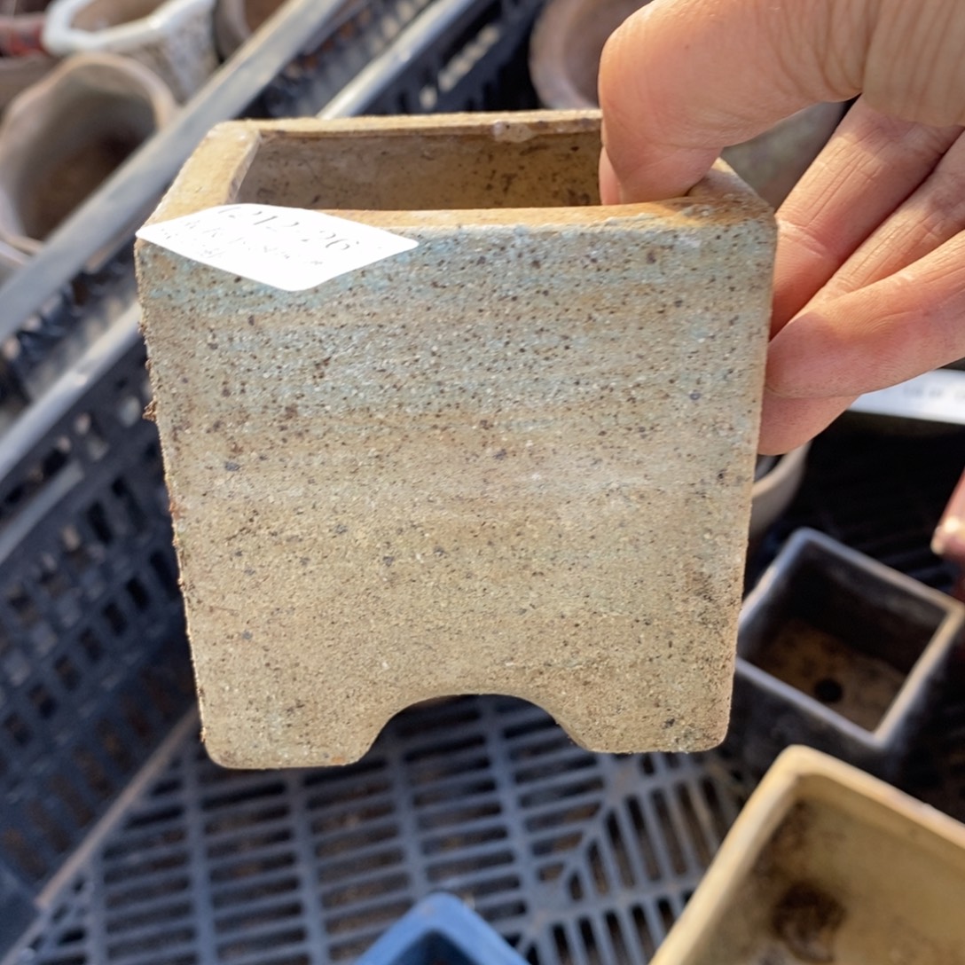 267号多肉盆口径6