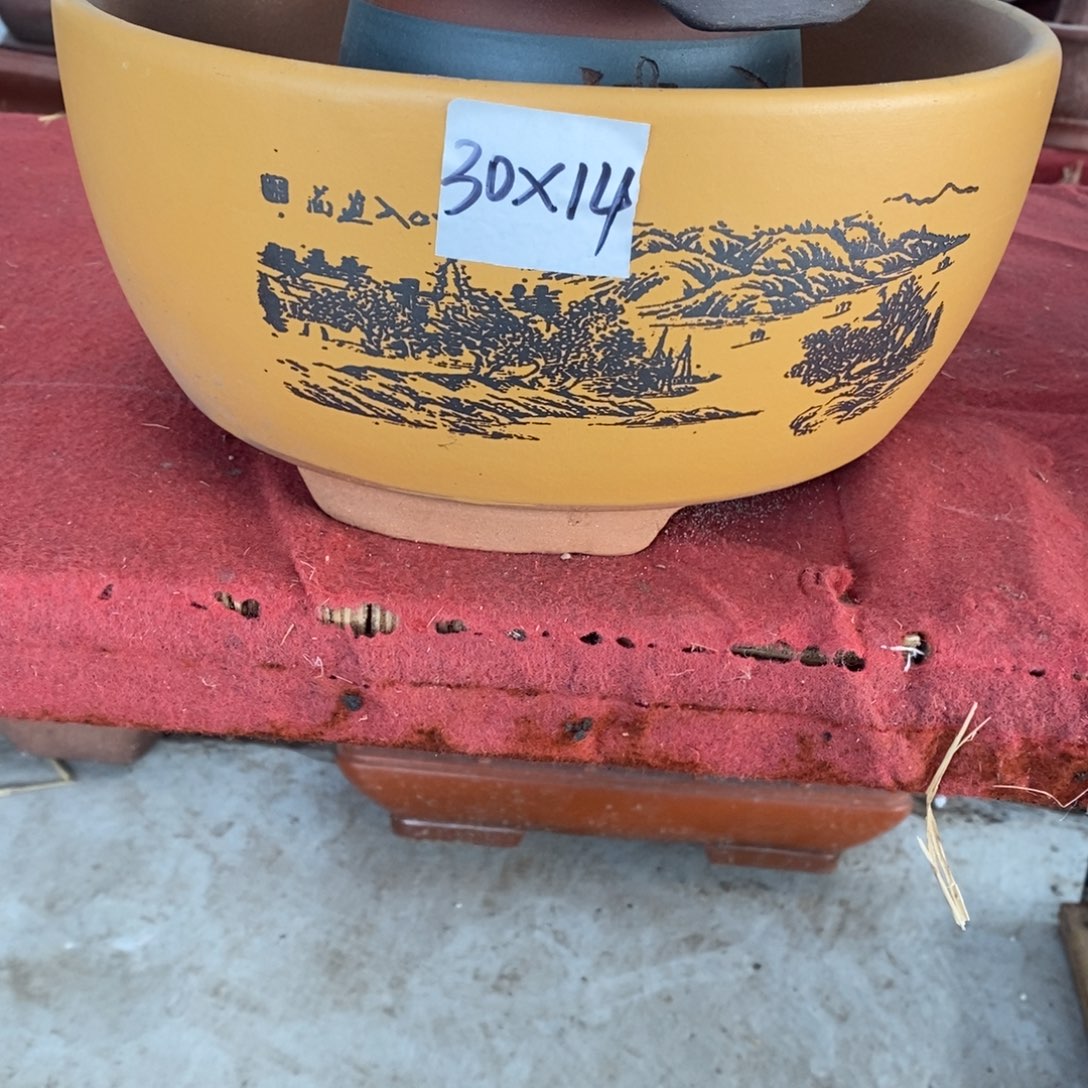 紫砂30/14圆盆一只