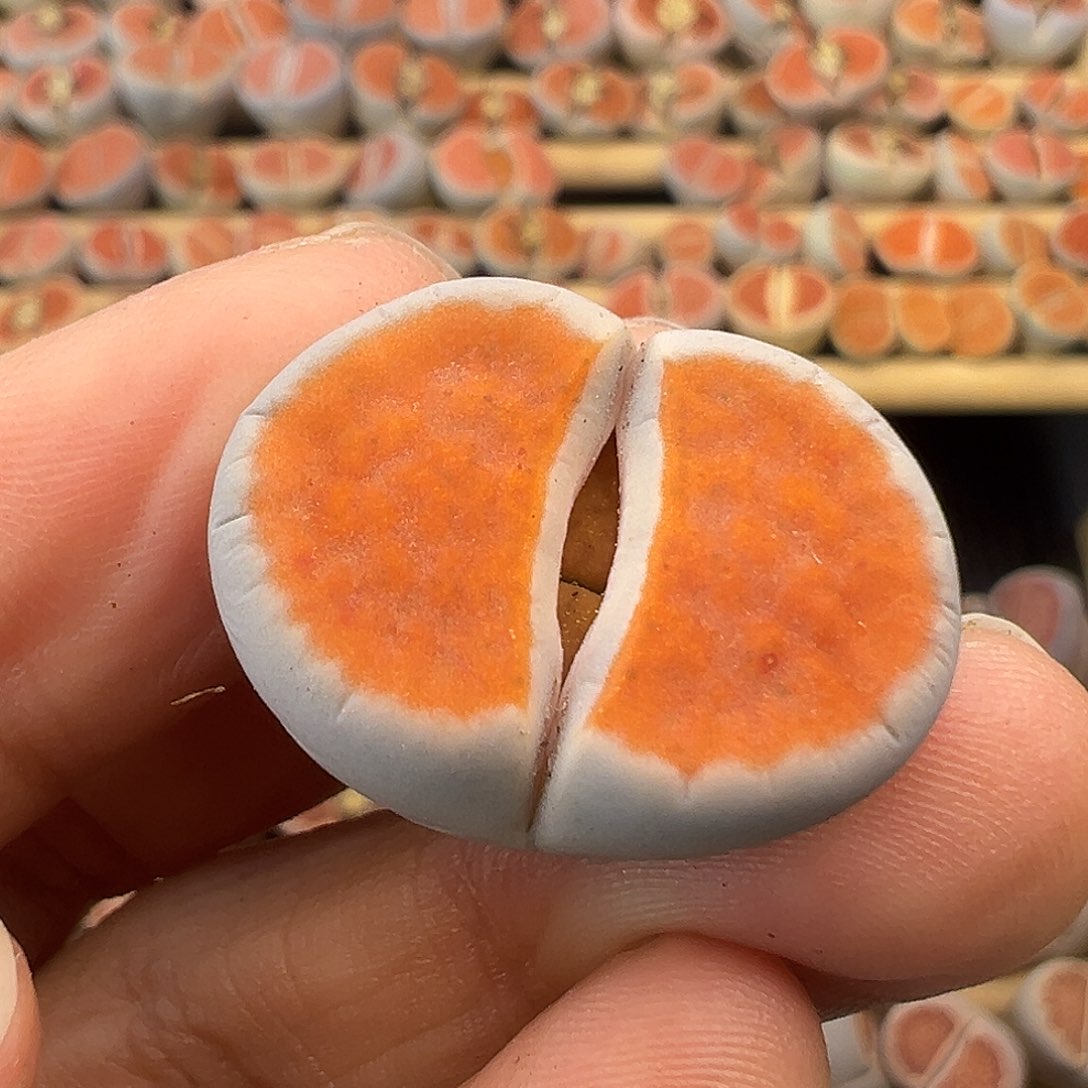 727整点福利美冰橙