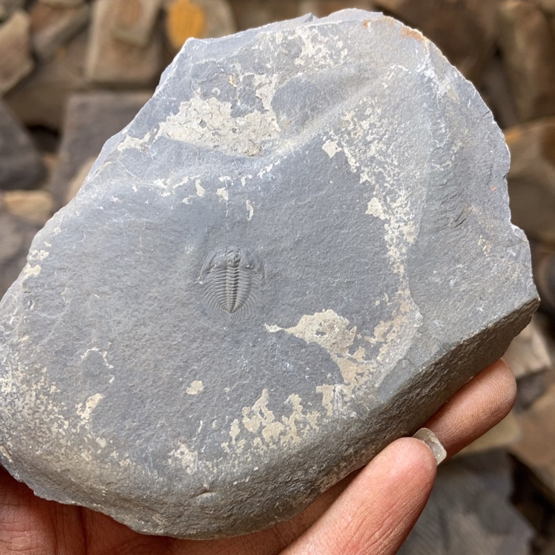 邓***旋石材2222222222222