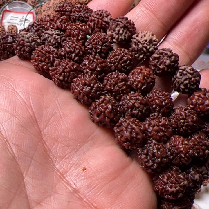 金刚菩提手串吴*敏野生大金刚