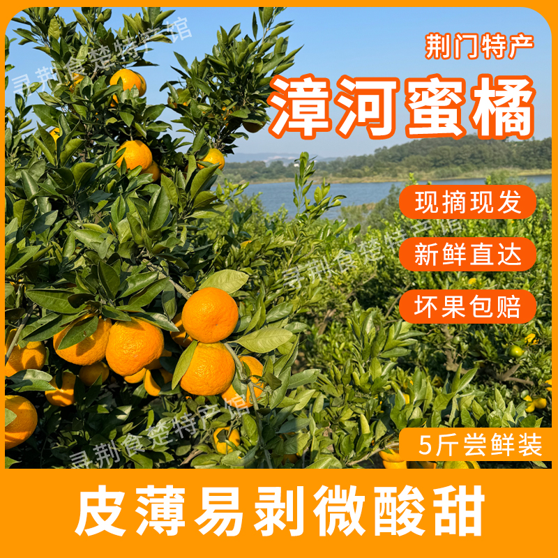【代支书助农专属福利】漳河蜜桔应季水果新鲜薄皮蜜橘多汁爽口包邮