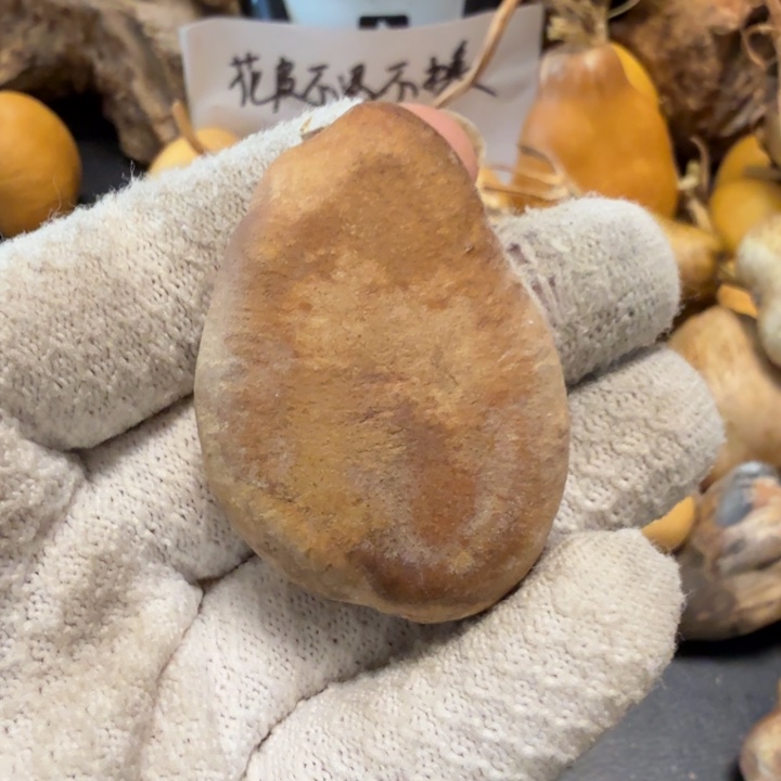 普***r676766777777777777778