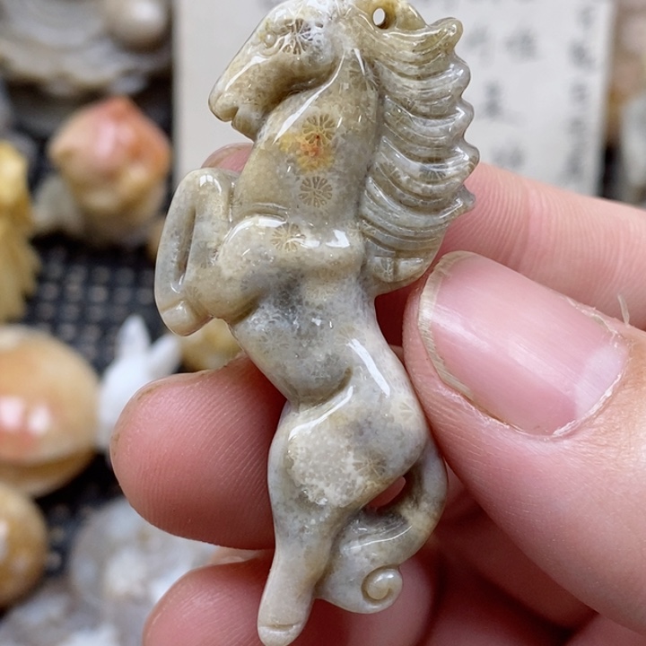 颈饰未镶嵌硅化珊瑚（珊瑚玉）有瑕