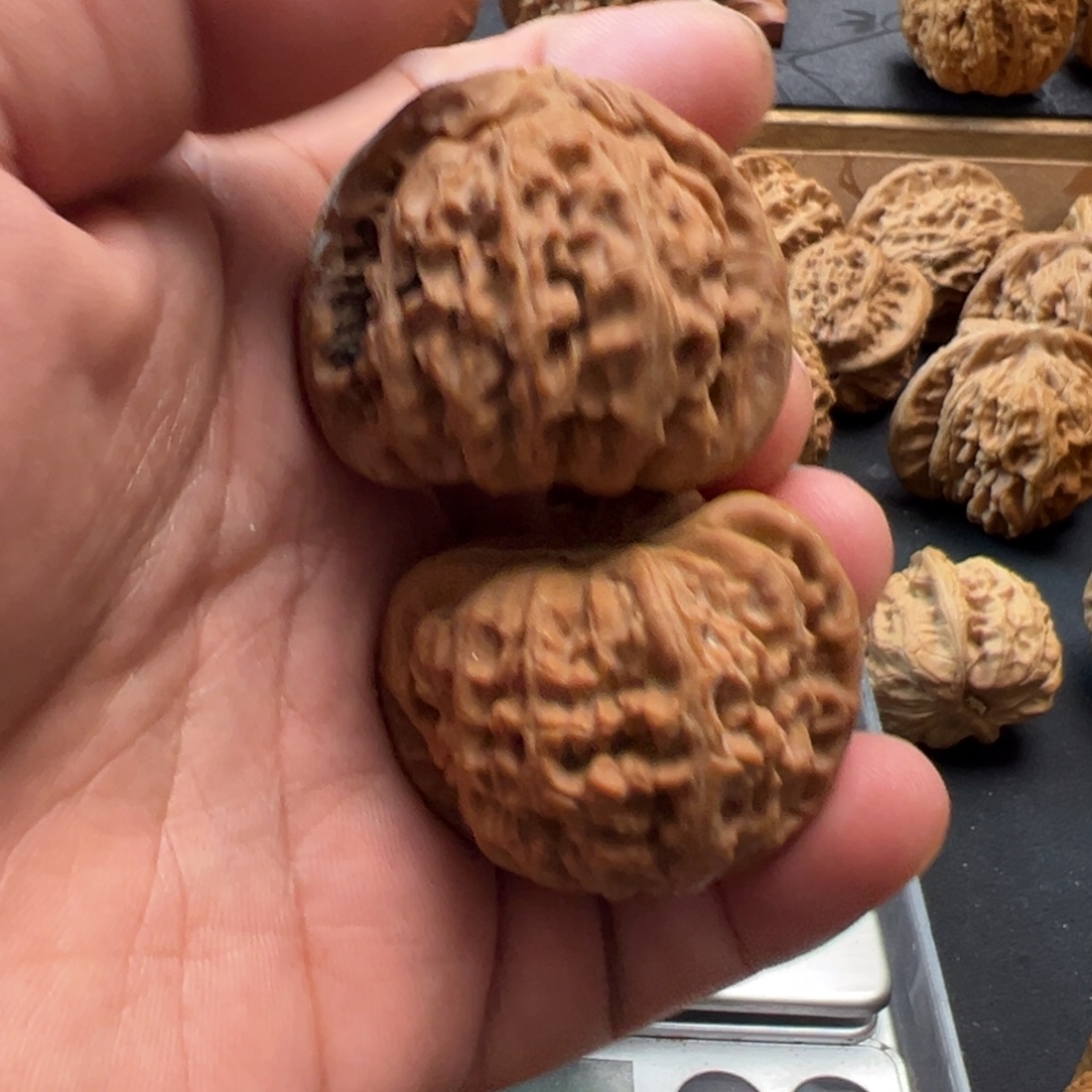 吊坠凤眼菩提文玩核桃，白狮子