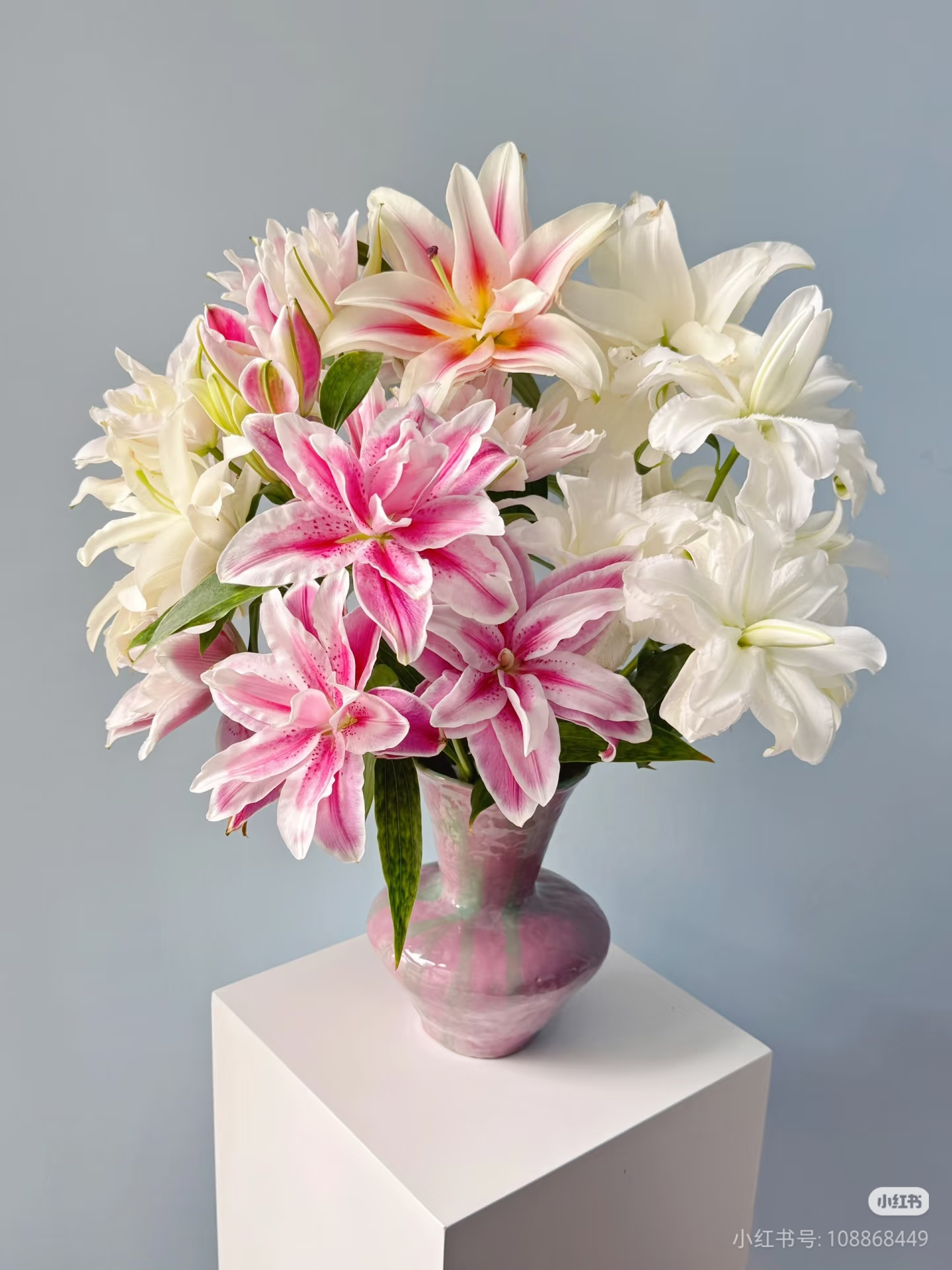 【pp百合】云南鲜花基地直发顺丰送货上门