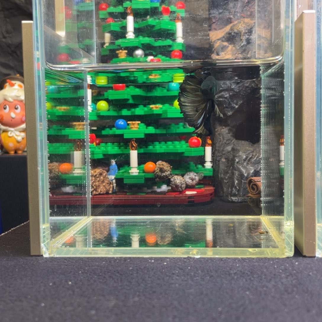 斗鱼十二月十七日竞价