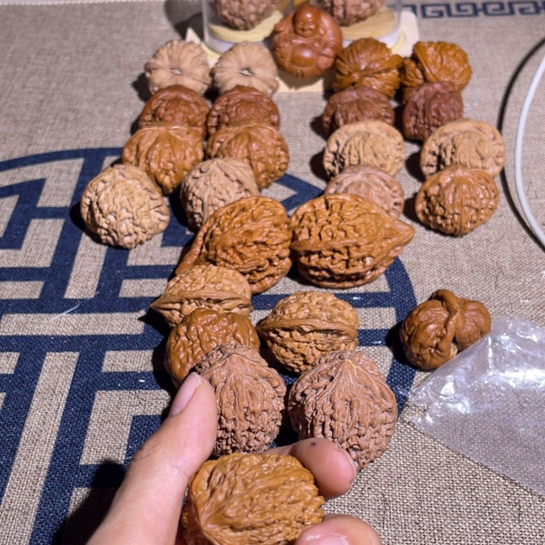 神***哈哈哈哈哈哈哈哈