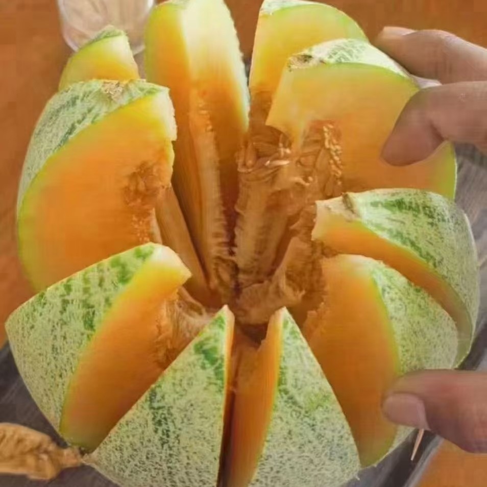 【海南甜冠晓蜜哈密瓜】1个~脆甜美味可口