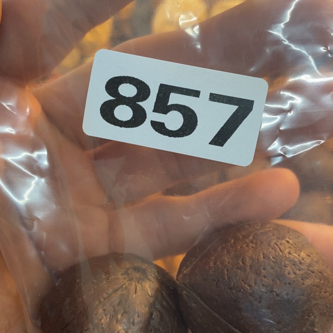 草珠菩提吊坠?****文化交流