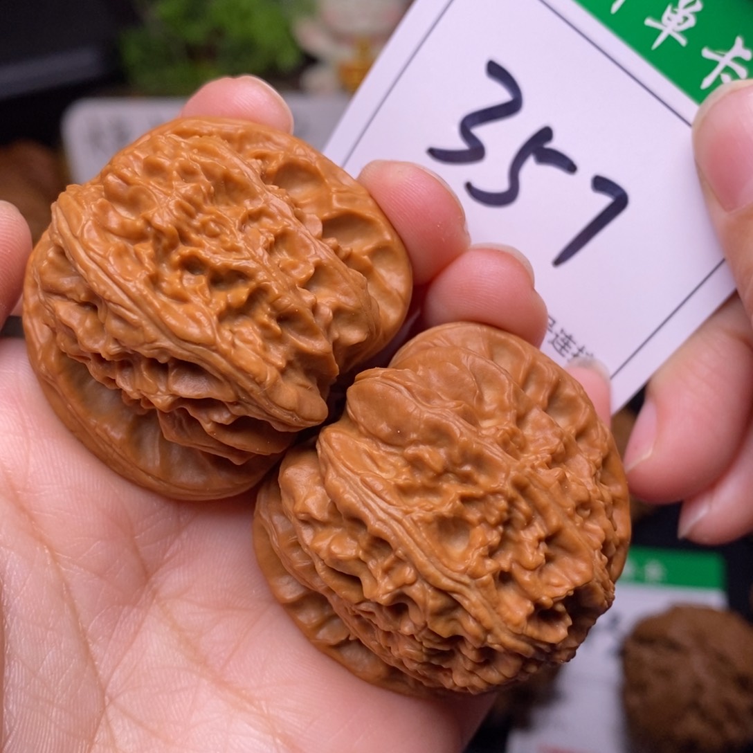 把件文玩核桃357白狮子4.1