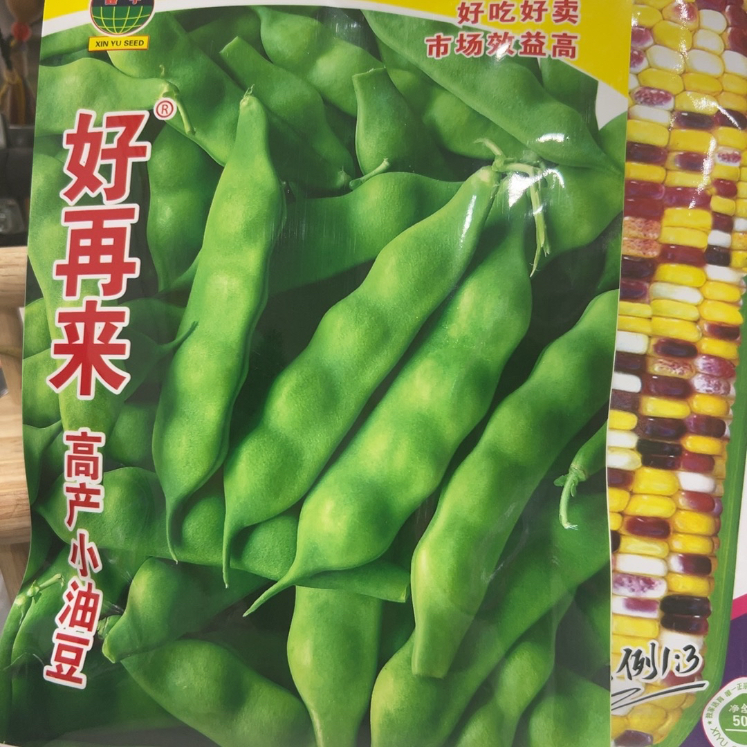 好再来小油豆种子（送绥花糯）