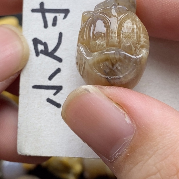 硅化珊瑚（珊瑚玉）未镶嵌颈饰