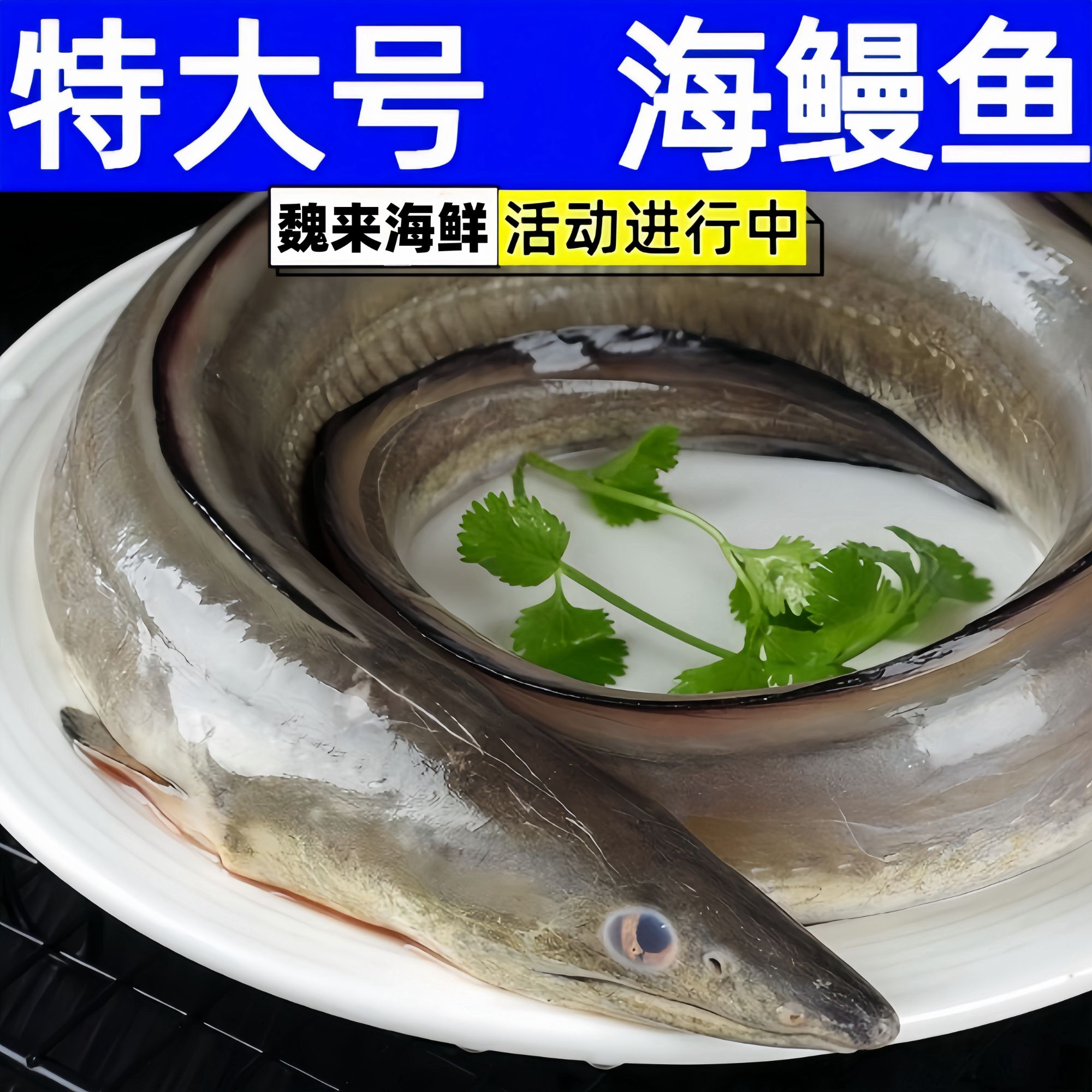 【魏来海鲜】福建船捕野生海鳗鱼切片本港海捕鳗鱼肥美顺丰