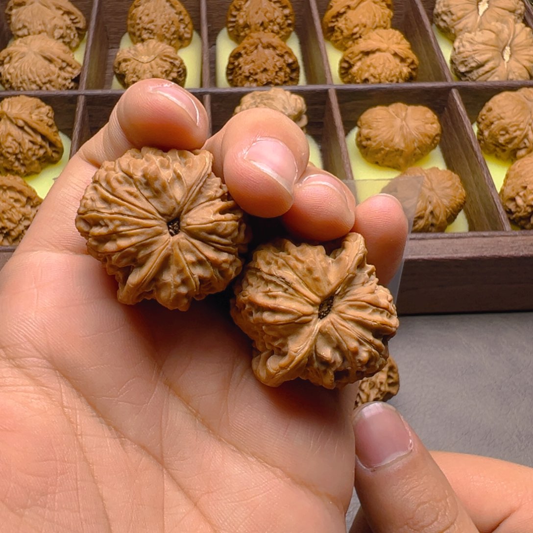 把件文玩核桃血麒麟