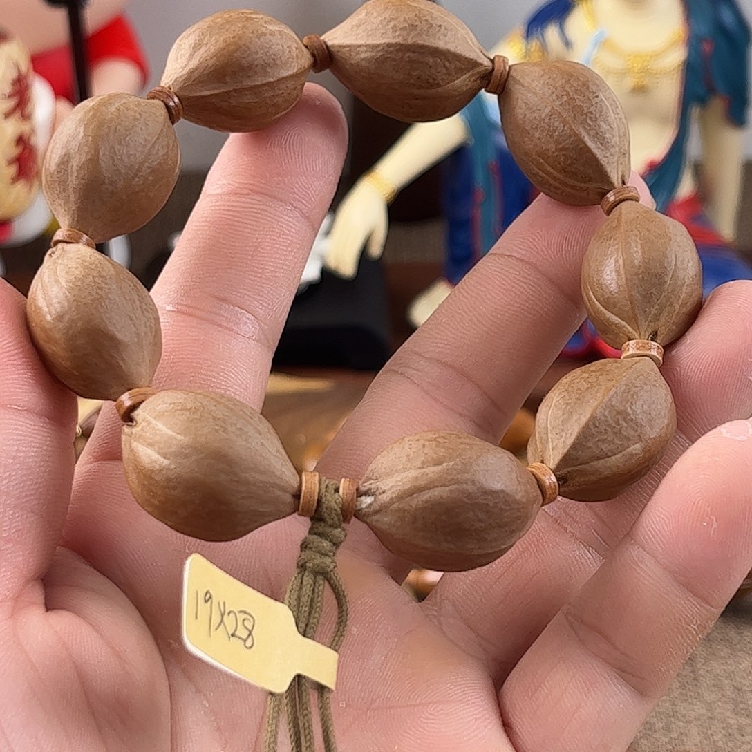 手串橄榄核鲨鱼背