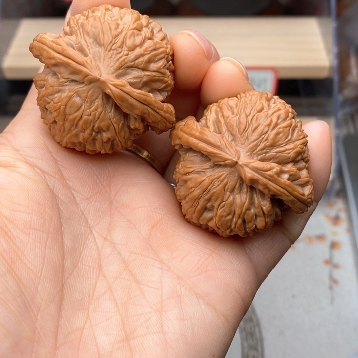 核桃把件白狮子核桃