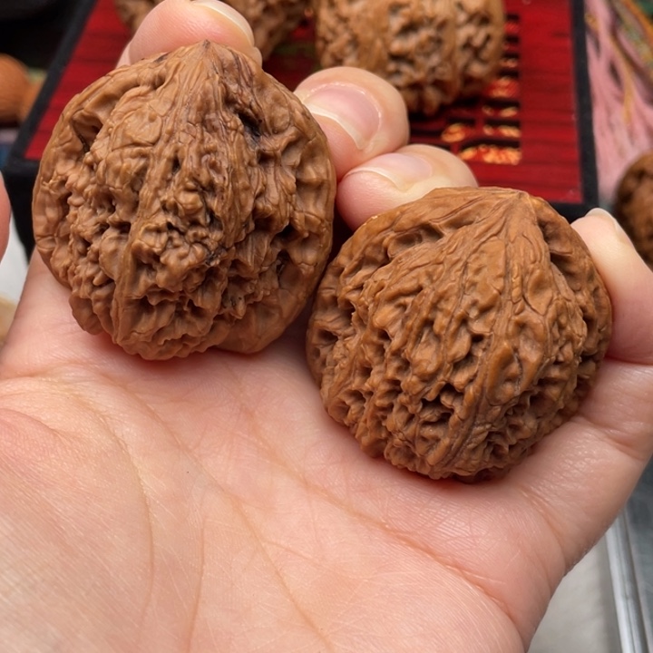 小***游39-40 落地果 有引黄