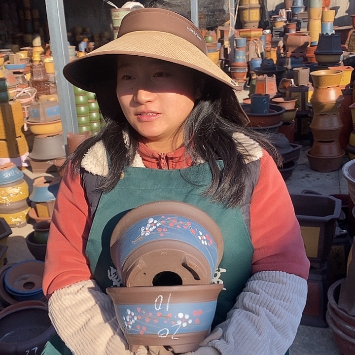 紫砂花盆盆栽花卉苗木种植