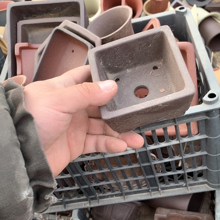 紫砂我要努力做自己喜欢