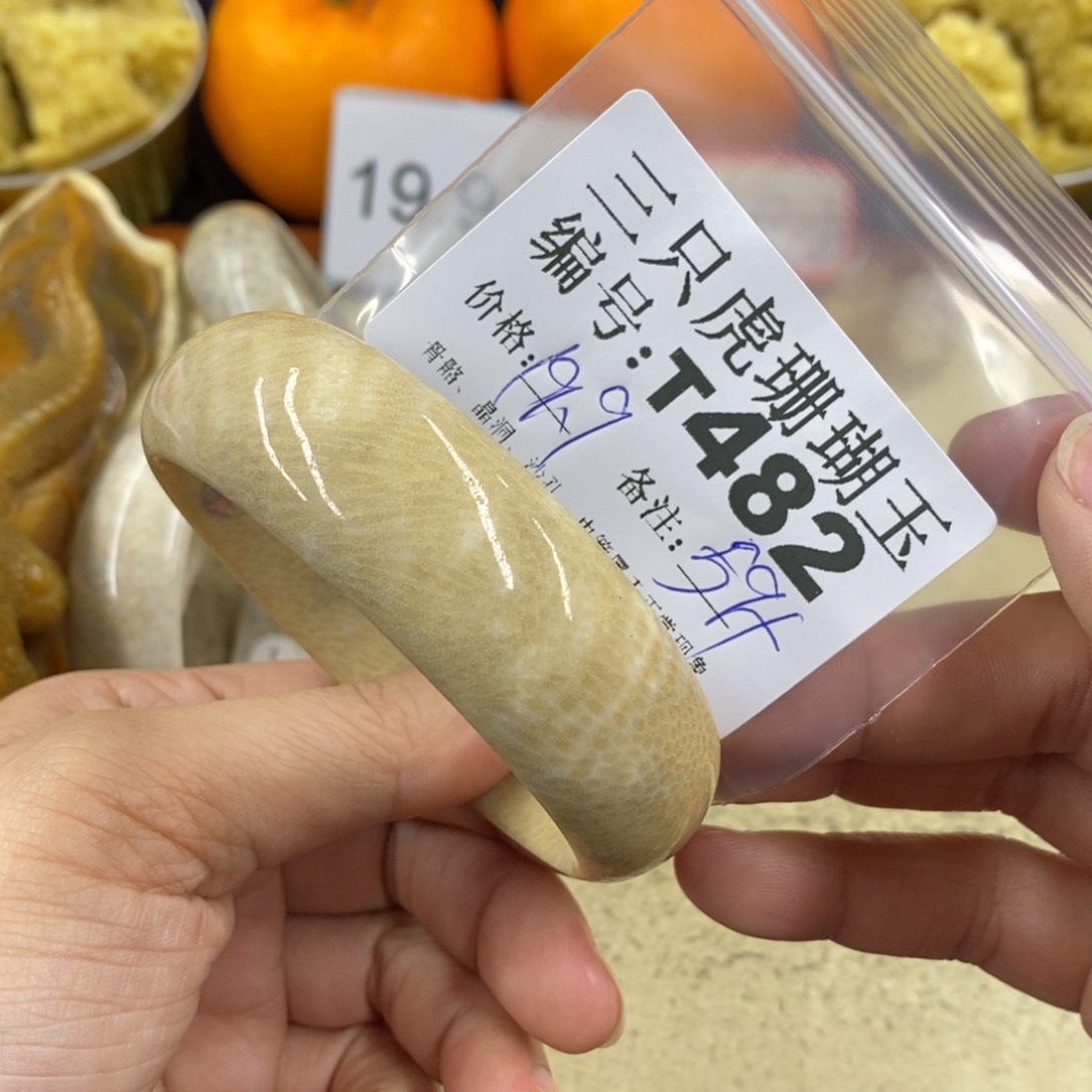 硅化珊瑚（珊瑚玉）1未镶嵌比*丘