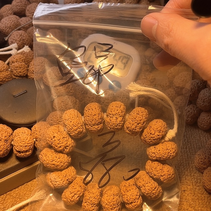 金刚菩提吊坠鲲**翅3呜呜呜