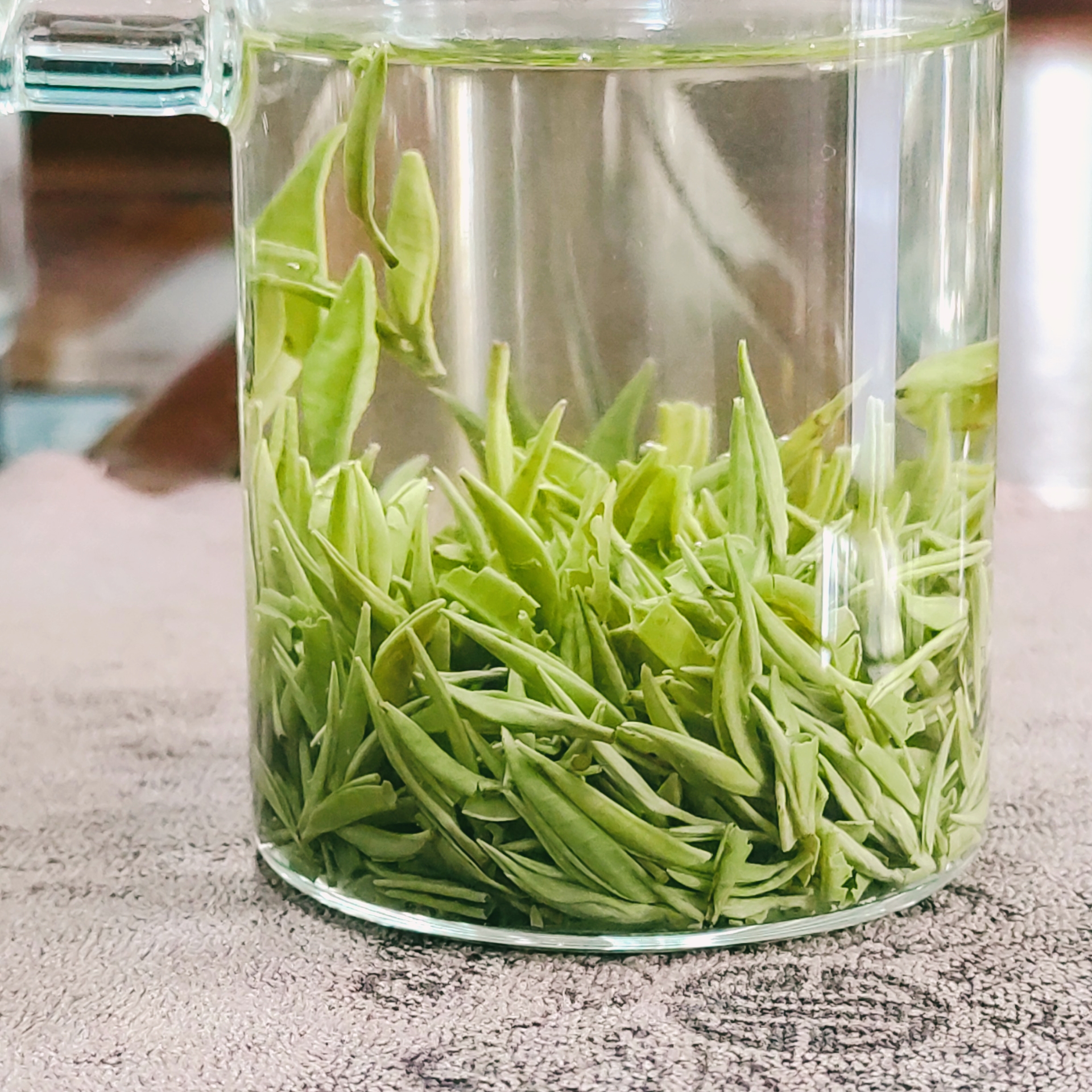 12号2025新茶紫阳茶焕古翠芽绿茶高级茶叶新茶叶