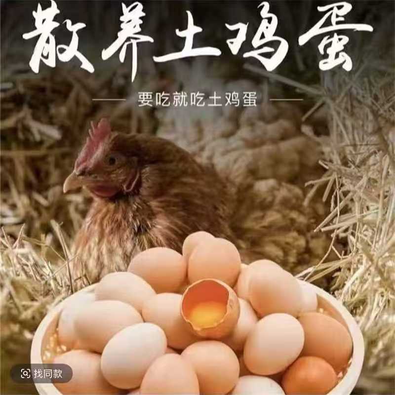 【50枚】新鲜高山农家散养鸡蛋包邮批发新鲜谷物蛋精选散养谷物L