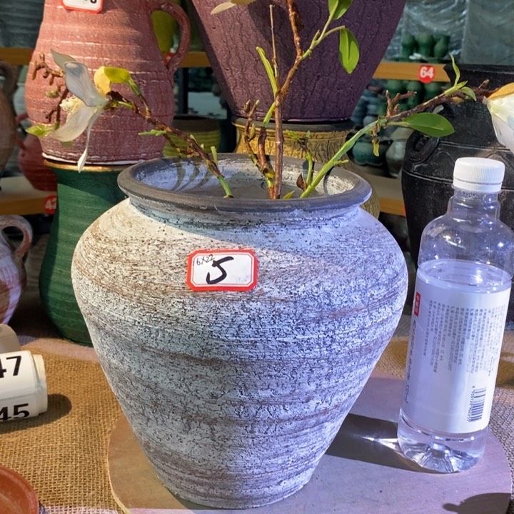 【闪购商品】正品现货