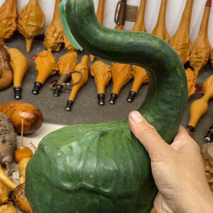 我***疵鹤首葫芦………………………..